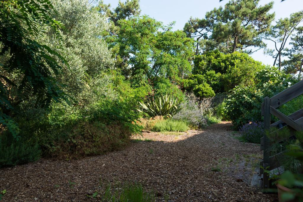 Le Lodge Du Cap Ferret Леж-Кап-Ферре Экстерьер фото